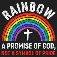 Rainbow A Promise Of God Not A Symbol Of Pride Beanie thumb 2