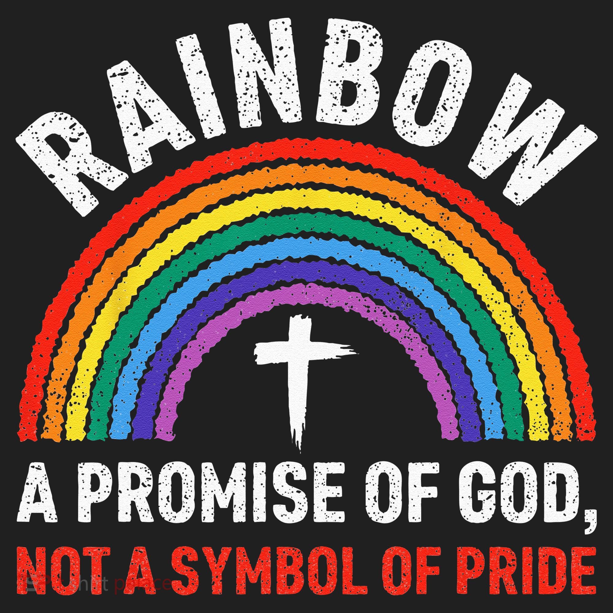 Rainbow A Promise Of God Not A Symbol Of Pride Beanie