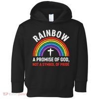 Rainbow A Promise Of God Not A Symbol Of Pride Toddler Hoodie thumb 0