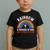 Rainbow A Promise Of God Not A Symbol Of Pride Toddler T-Shirt thumb 2