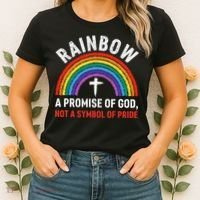 Rainbow A Promise Of God Not A Symbol Of Pride Women's T-Shirt thumb 2