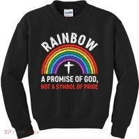 Rainbow A Promise Of God Not A Symbol Of Pride Kids Sweatshirt thumb 0