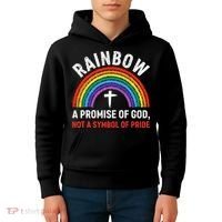 Rainbow A Promise Of God Not A Symbol Of Pride Kids Hoodie thumb 4