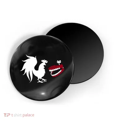 Magnet