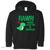 Rawr Means I Love You In Dinosaur Toddler Hoodie thumb 0