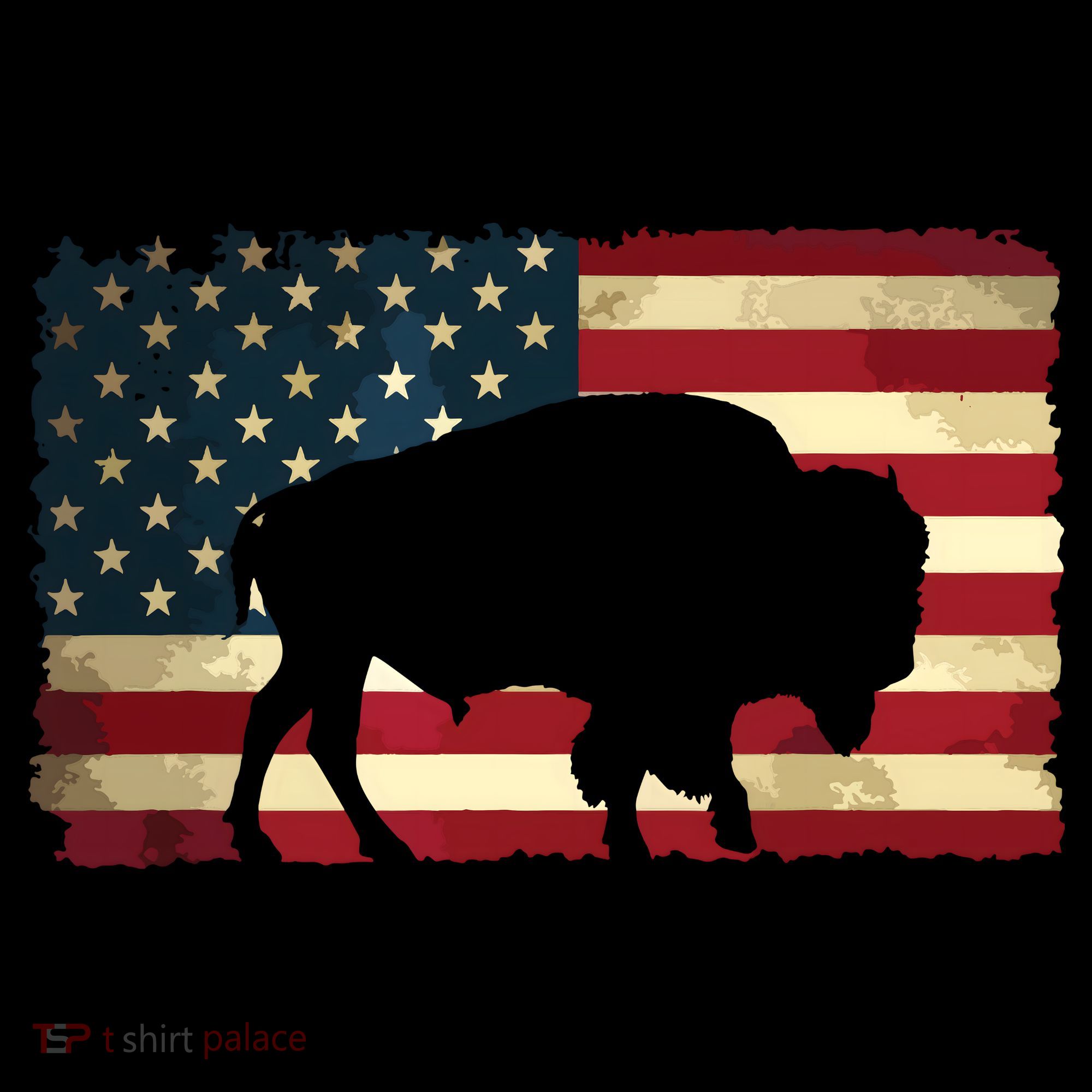 Retro Buffalo American Flag USA Bison Women's Hoodie