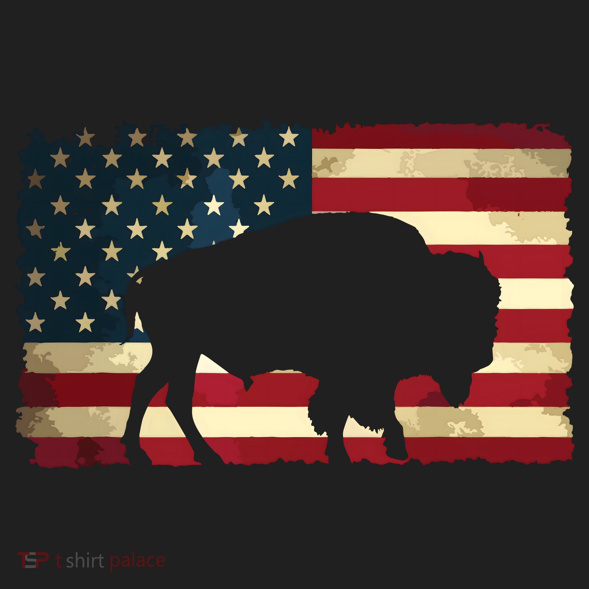 Retro Buffalo American Flag USA Bison Hat