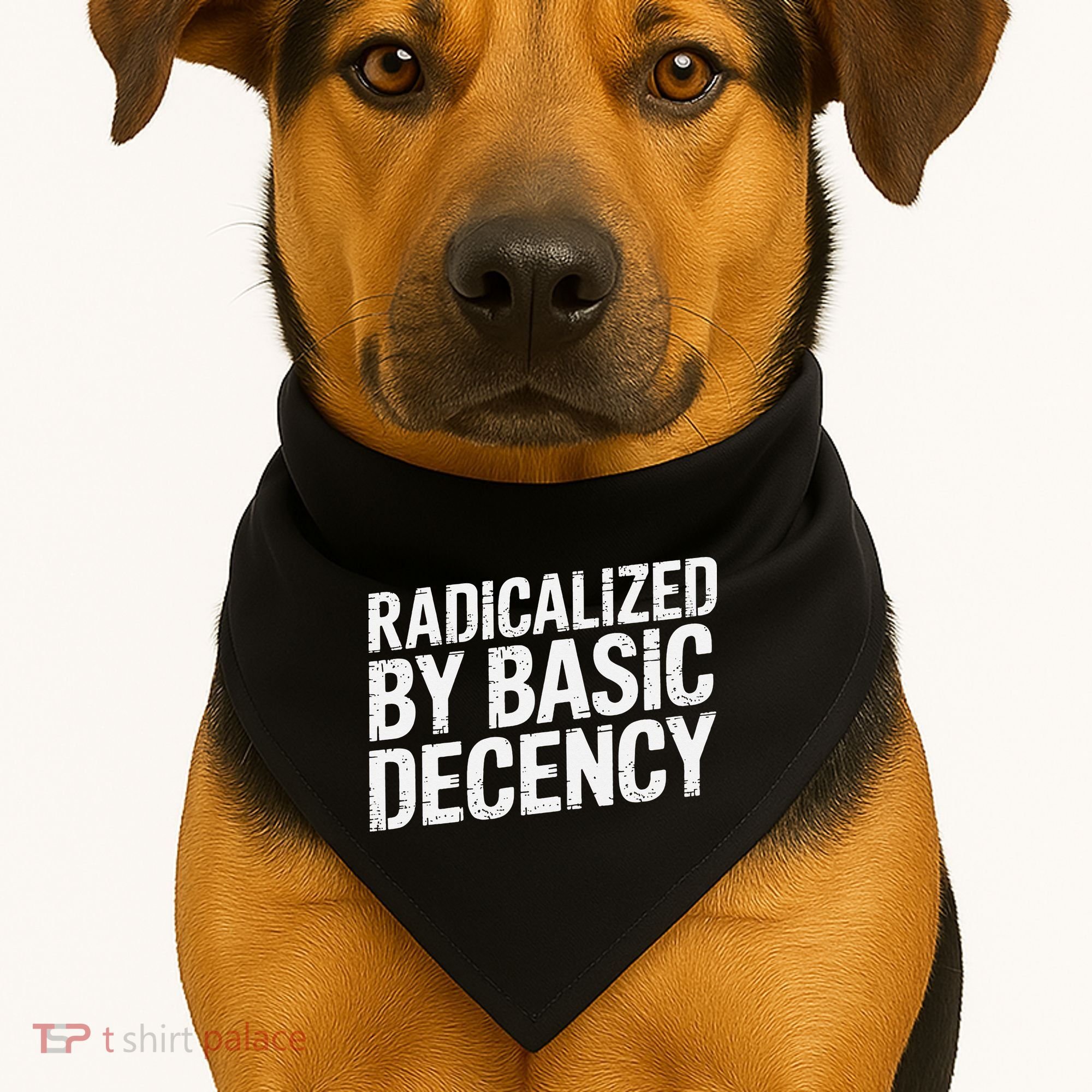 Radicalized By Basic Decency 2 Gift USA-Made Doggie Bandana