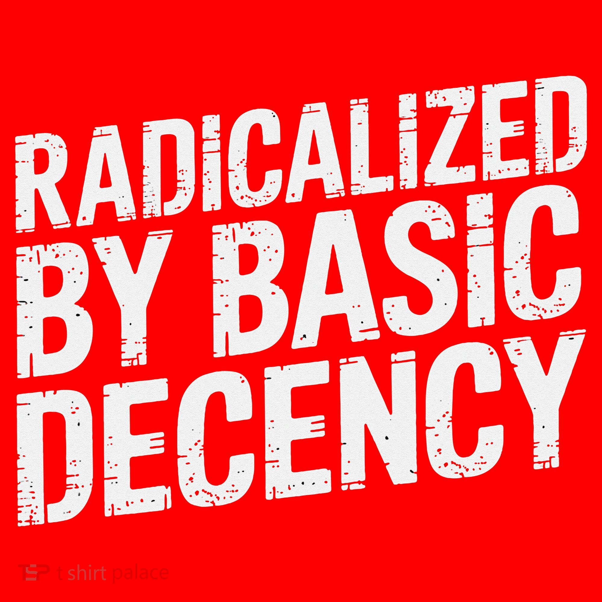 Radicalized By Basic Decency 2 Gift Santa Hat