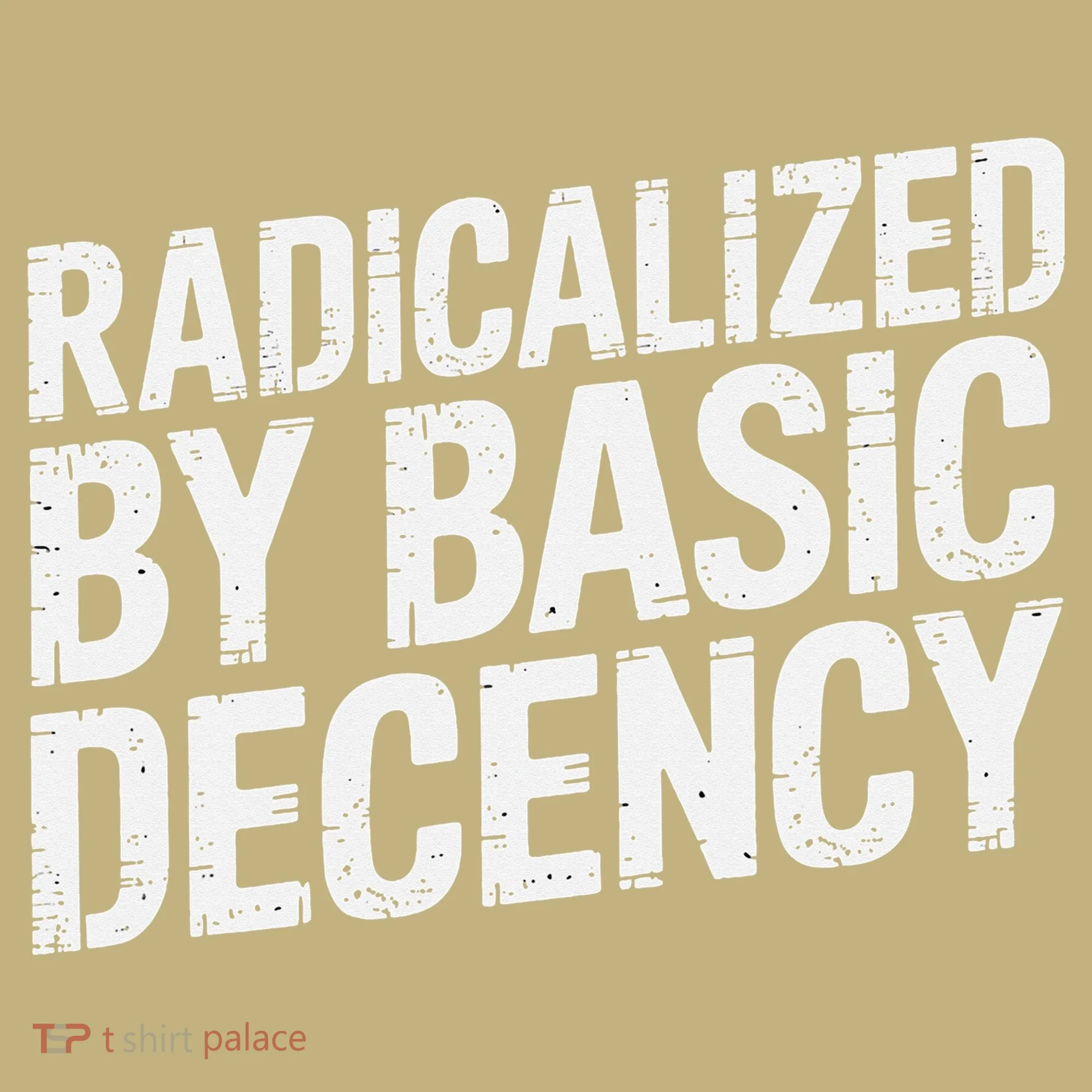 Radicalized By Basic Decency 2 Gift Long Sleeve Shirt