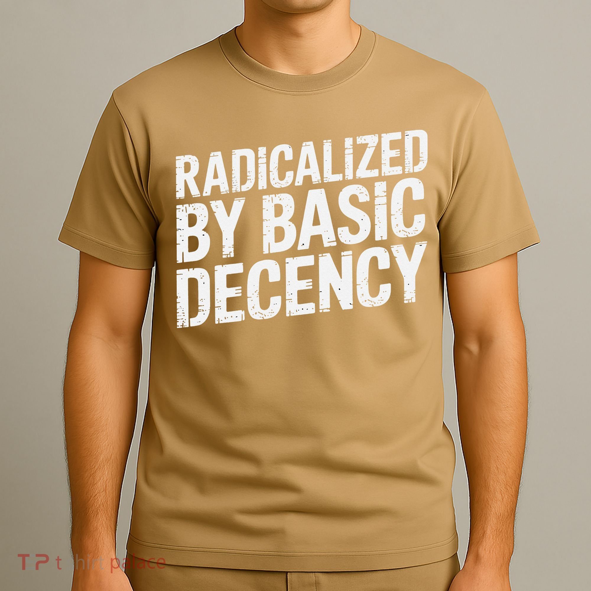Radicalized By Basic Decency 2 Gift T-Shirt