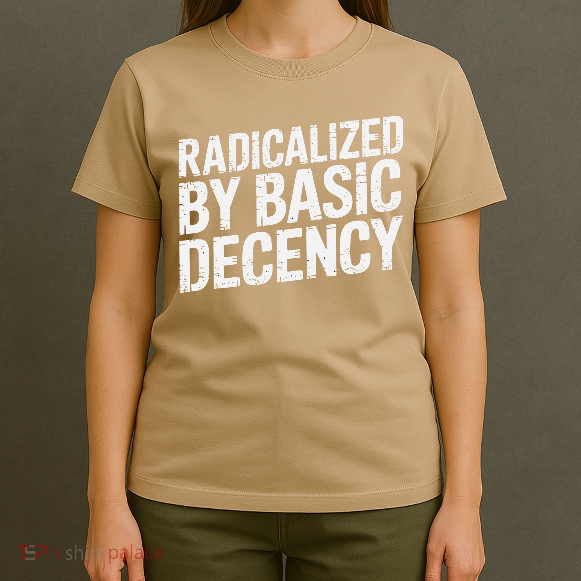 Radicalized By Basic Decency 2 Gift T-Shirt