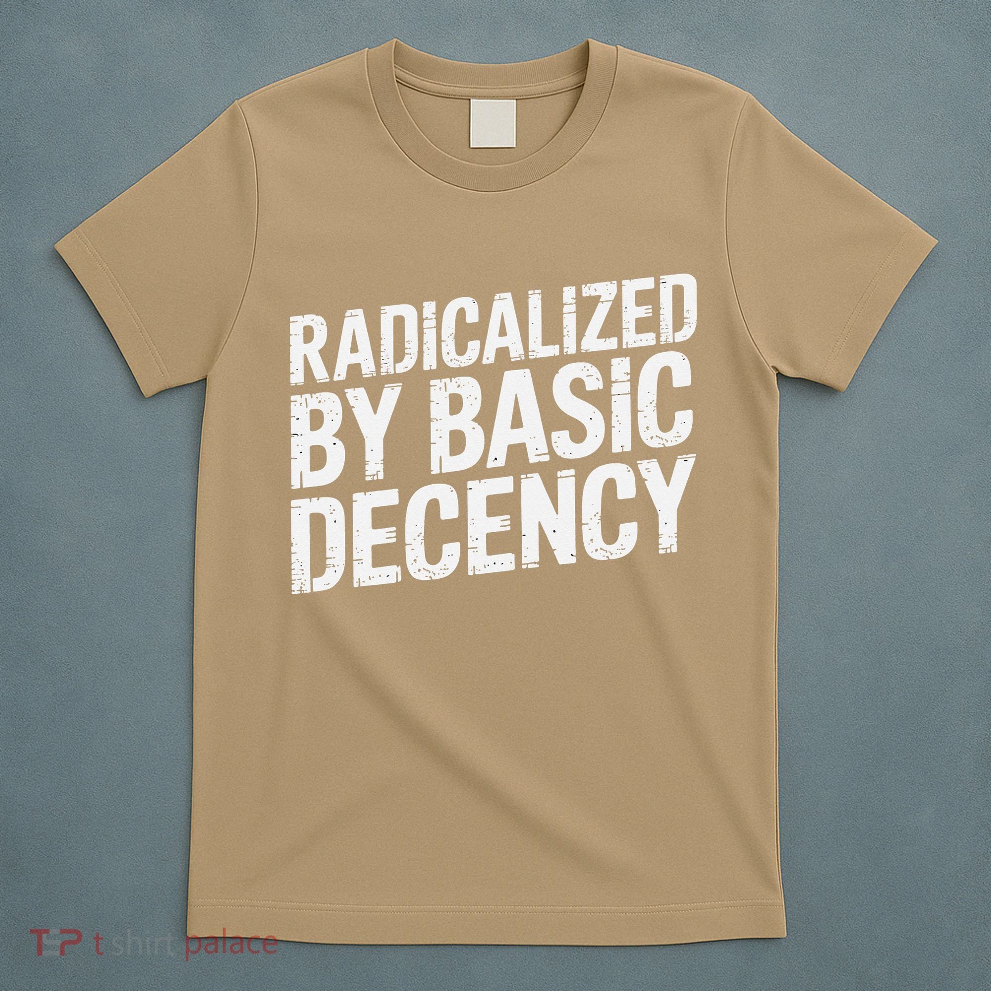 Radicalized By Basic Decency 2 Gift T-Shirt