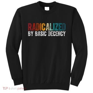 Radicalized By Basic Decency Funny Social Democracy Sweatshirt