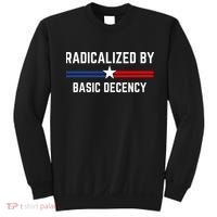 Radicalized By Basic Decency Funny Social Democracy  Sweatshirt thumb 0