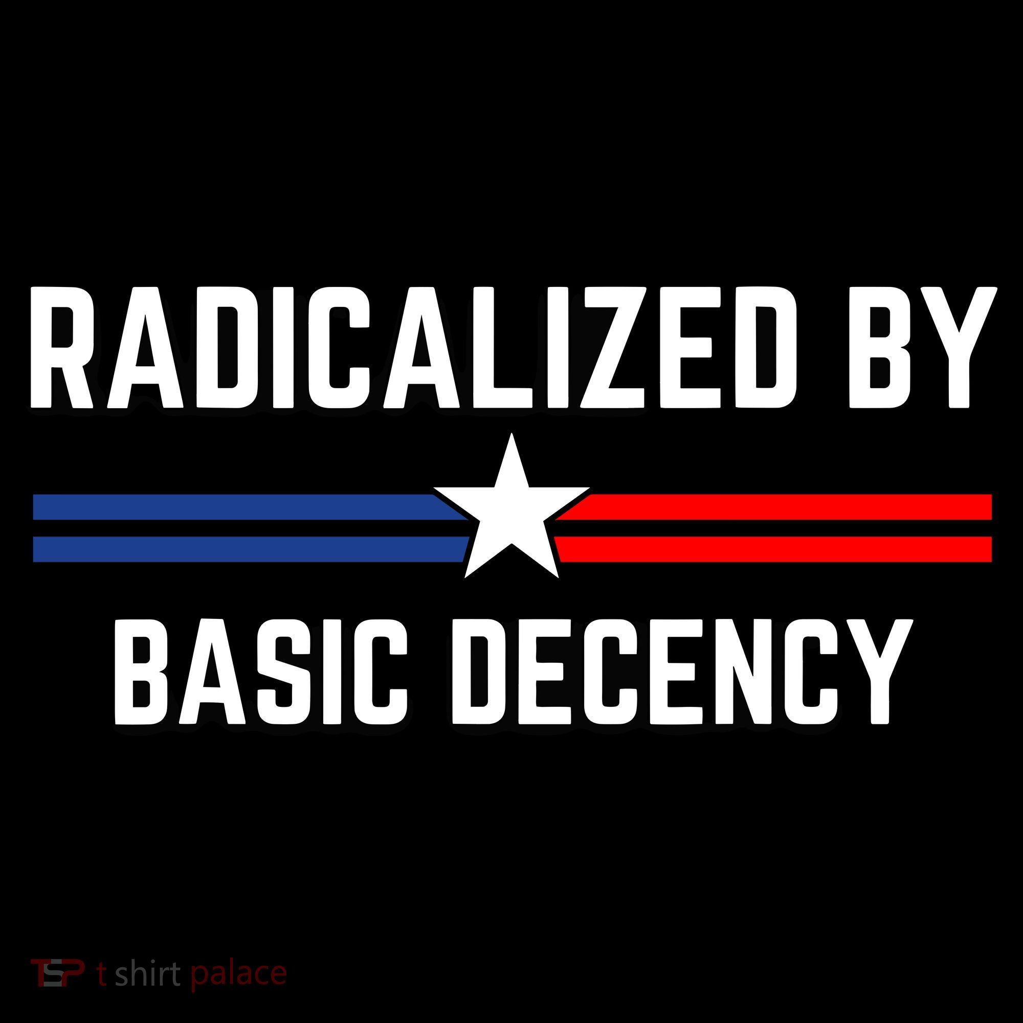 Radicalized By Basic Decency Funny Social Democracy  Sweatshirt