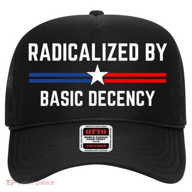 Radicalized By Basic Decency Funny Social Democracy  Hat