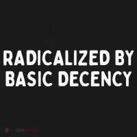 Radicalized By Basic Decency Hoodie thumb 2