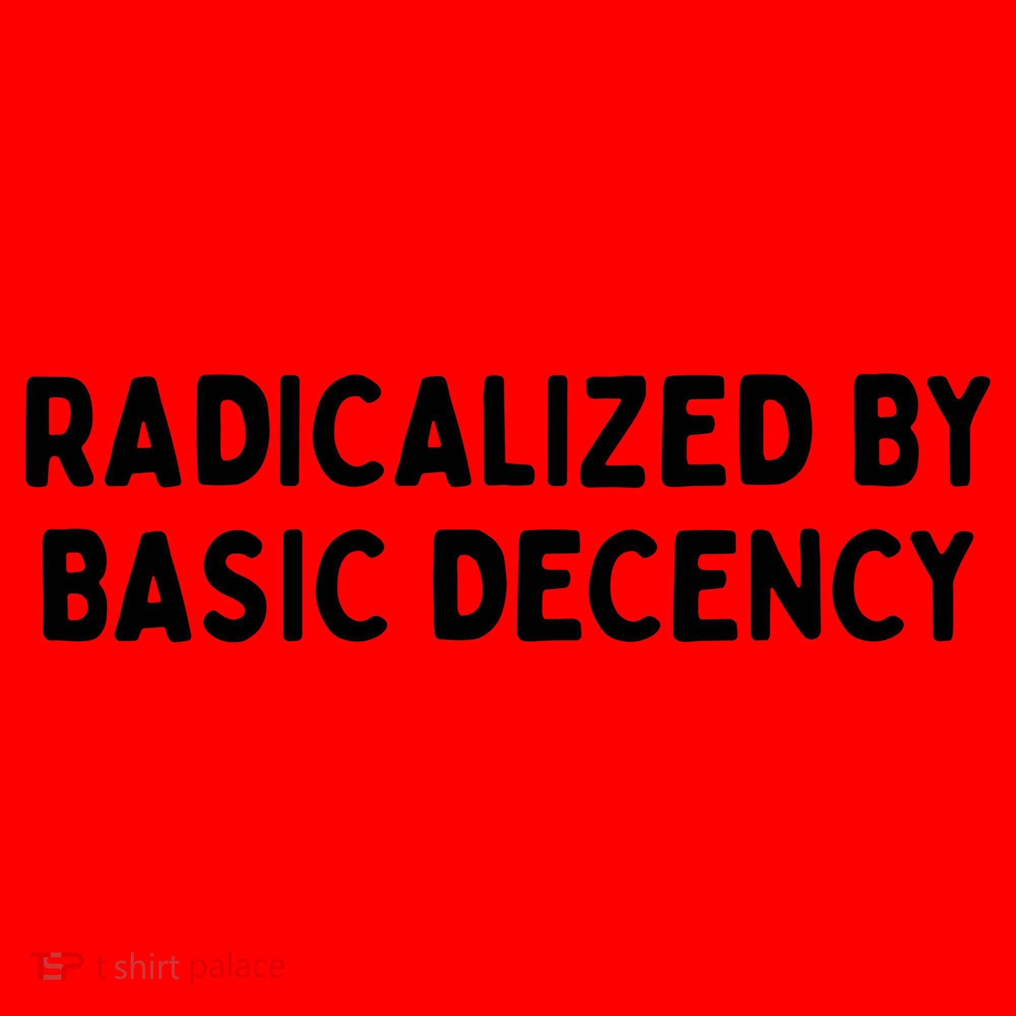 Radicalized By Basic Decency Santa Hat