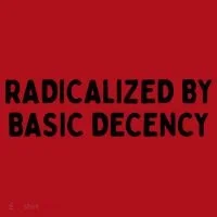 Radicalized By Basic Decency Christmas Stocking thumb 1