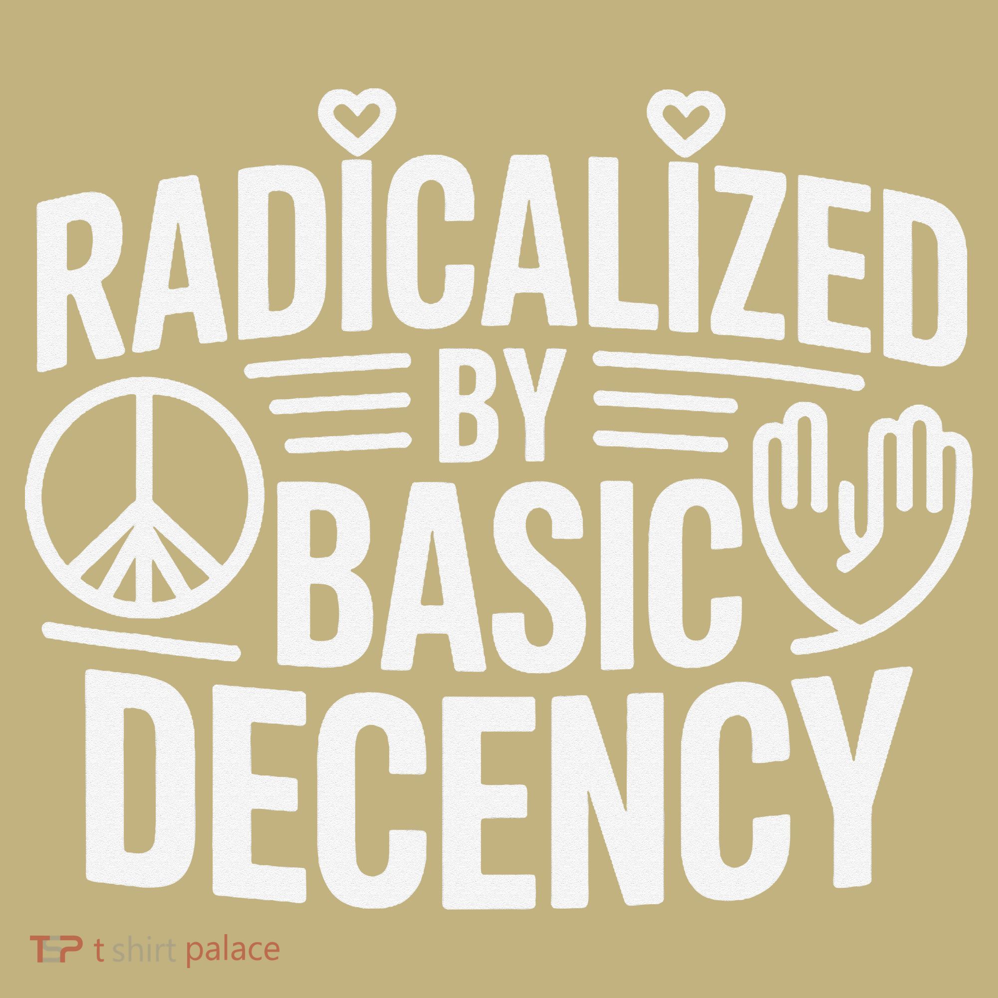 Radicalized By Basic Decency Protest Resist Persist Hoodie