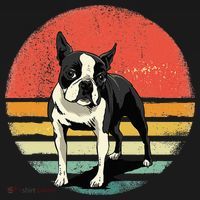 Retro Boston Bull Terrier Dog Puppy Boston Terrier Dad Mom Women's Hoodie thumb 2