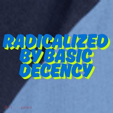 Radicalized By Basic Decency Raglan Baseball Sleeve Shirt