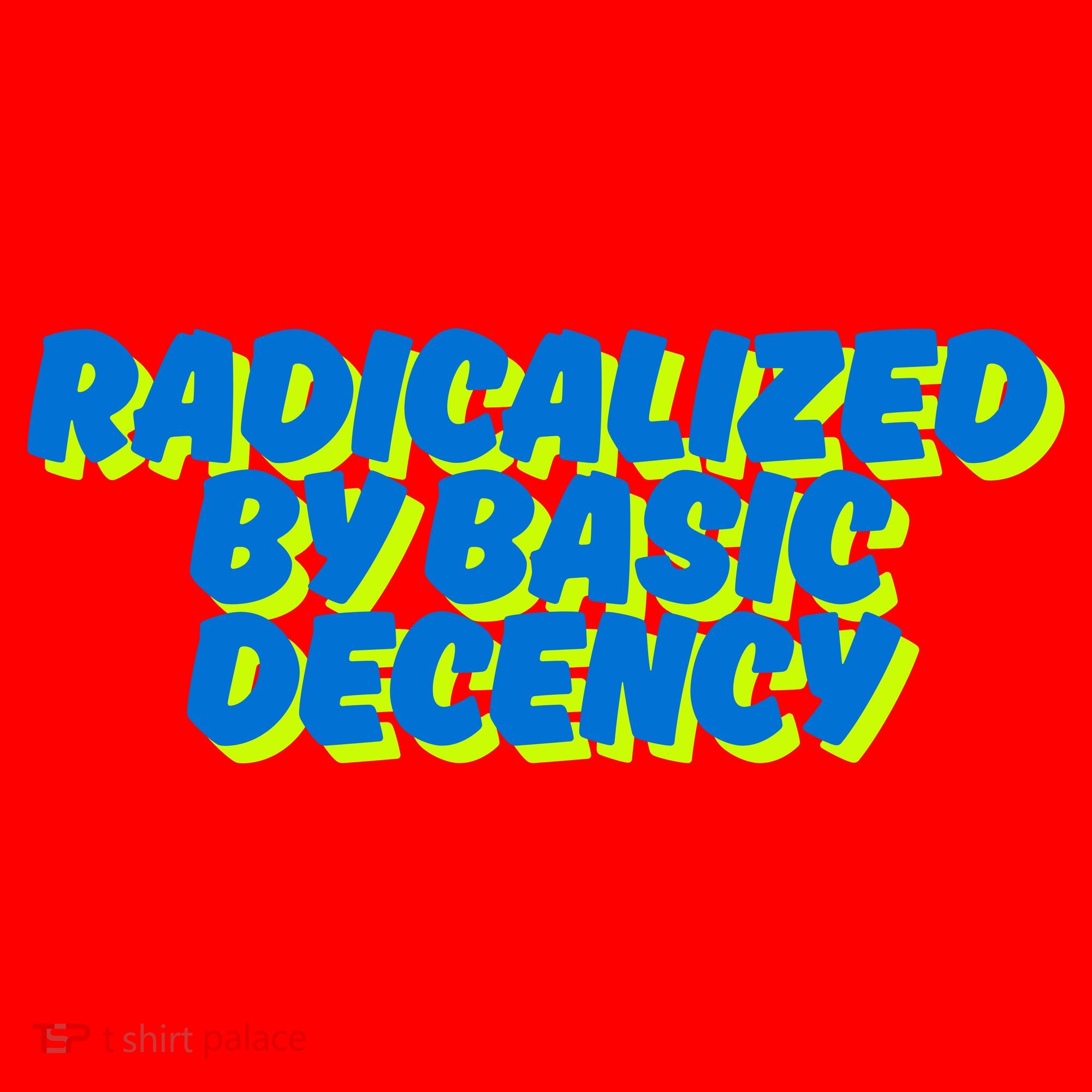 Radicalized By Basic Decency Santa Hat