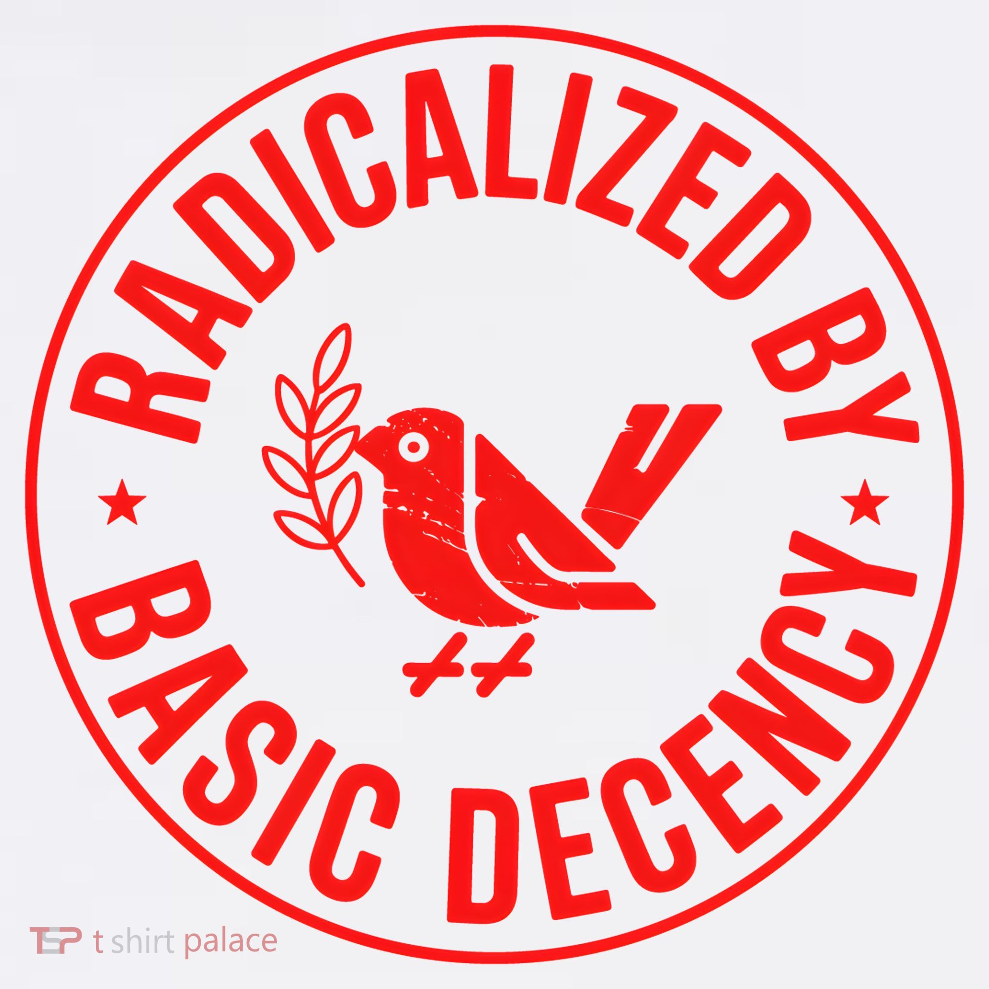 Radicalized By Basic Decency Political Activist Liberal Protester Hat