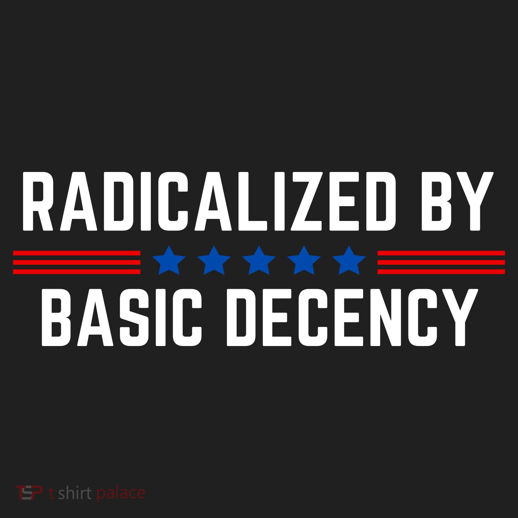 Radicalized By Basic Decency Funny Quote Women's Sweatshirt