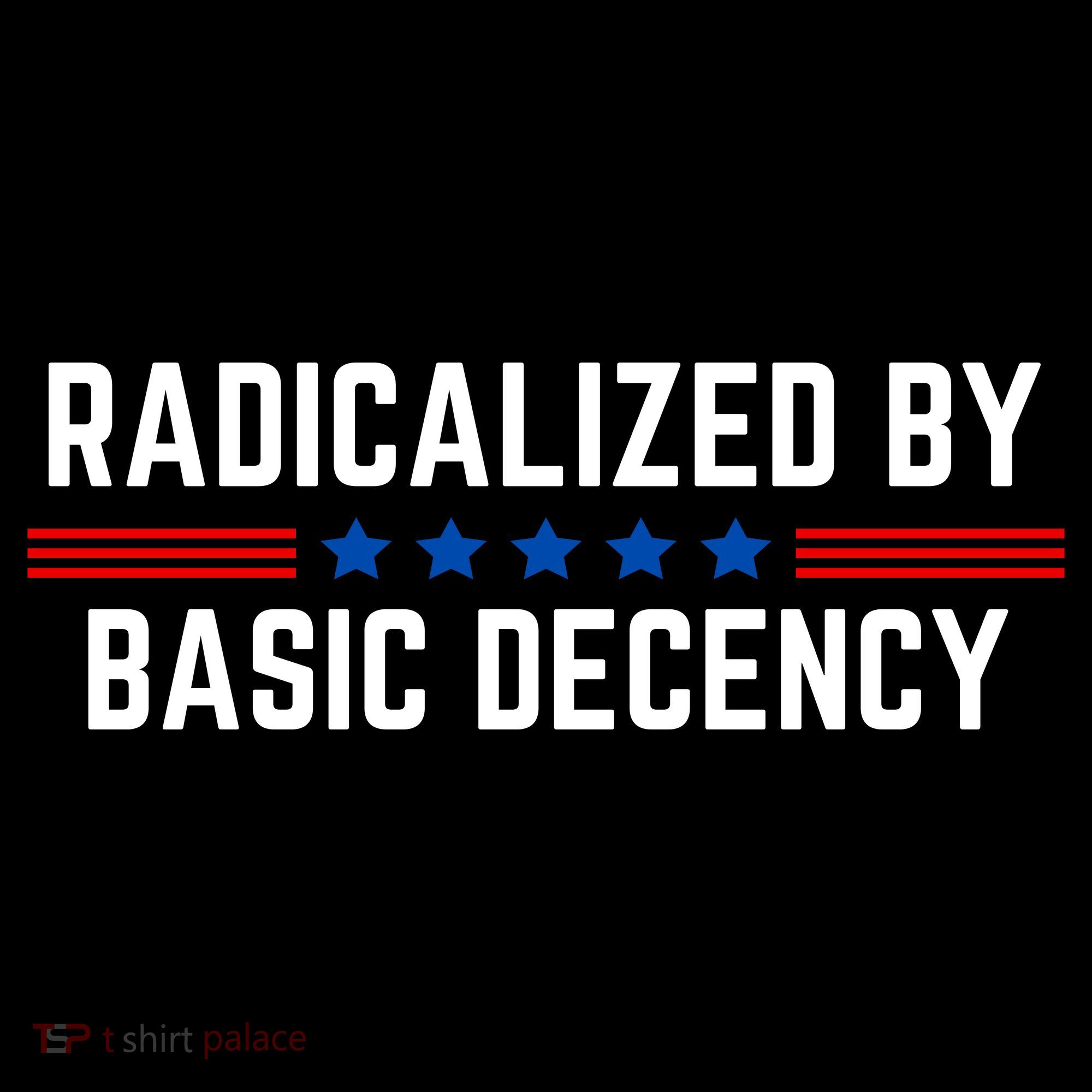 Radicalized By Basic Decency Funny Quote Hoodie