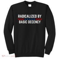 Radicalized By Basic Decency Funny Quote Sweatshirt thumb 0