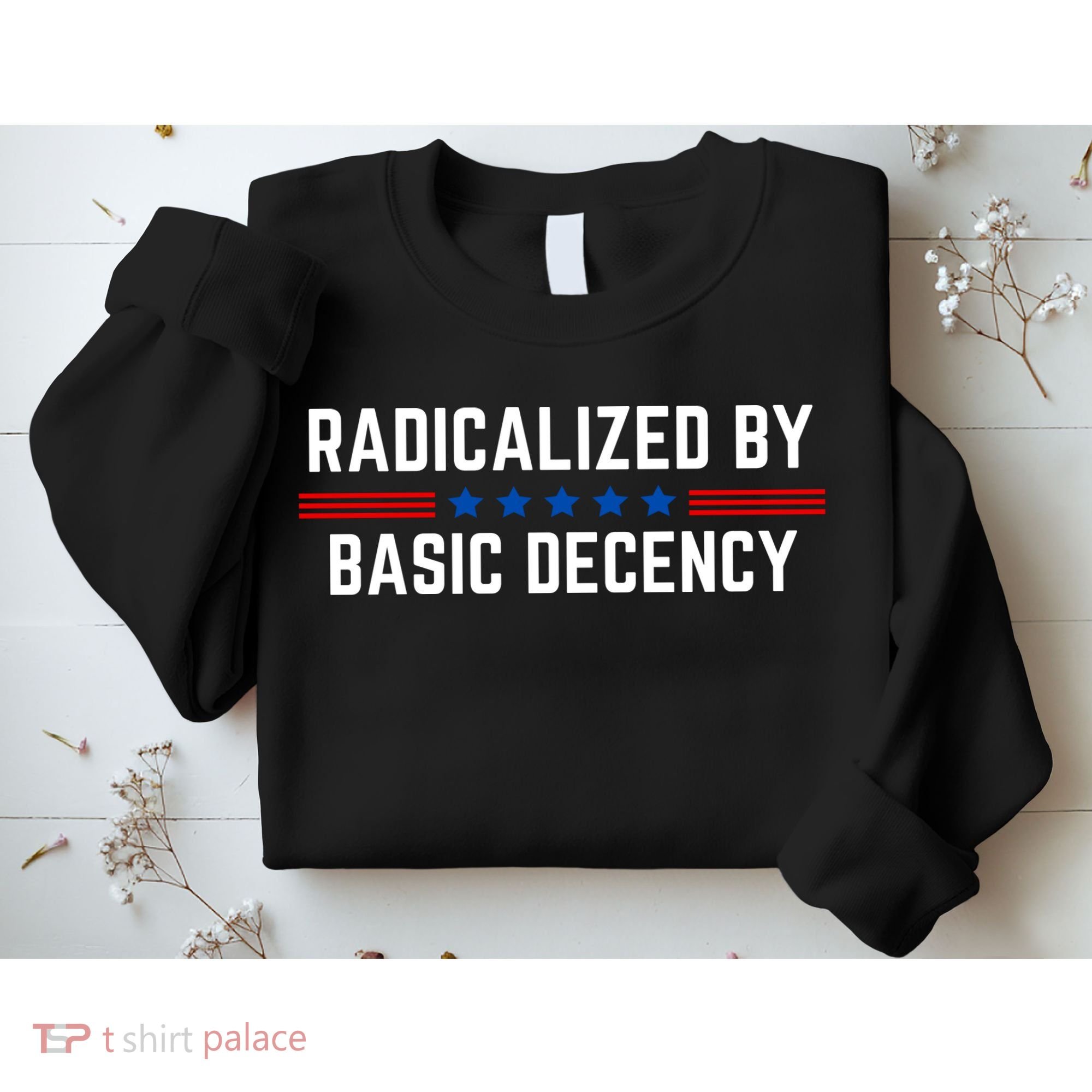 Radicalized By Basic Decency Funny Quote Sweatshirt