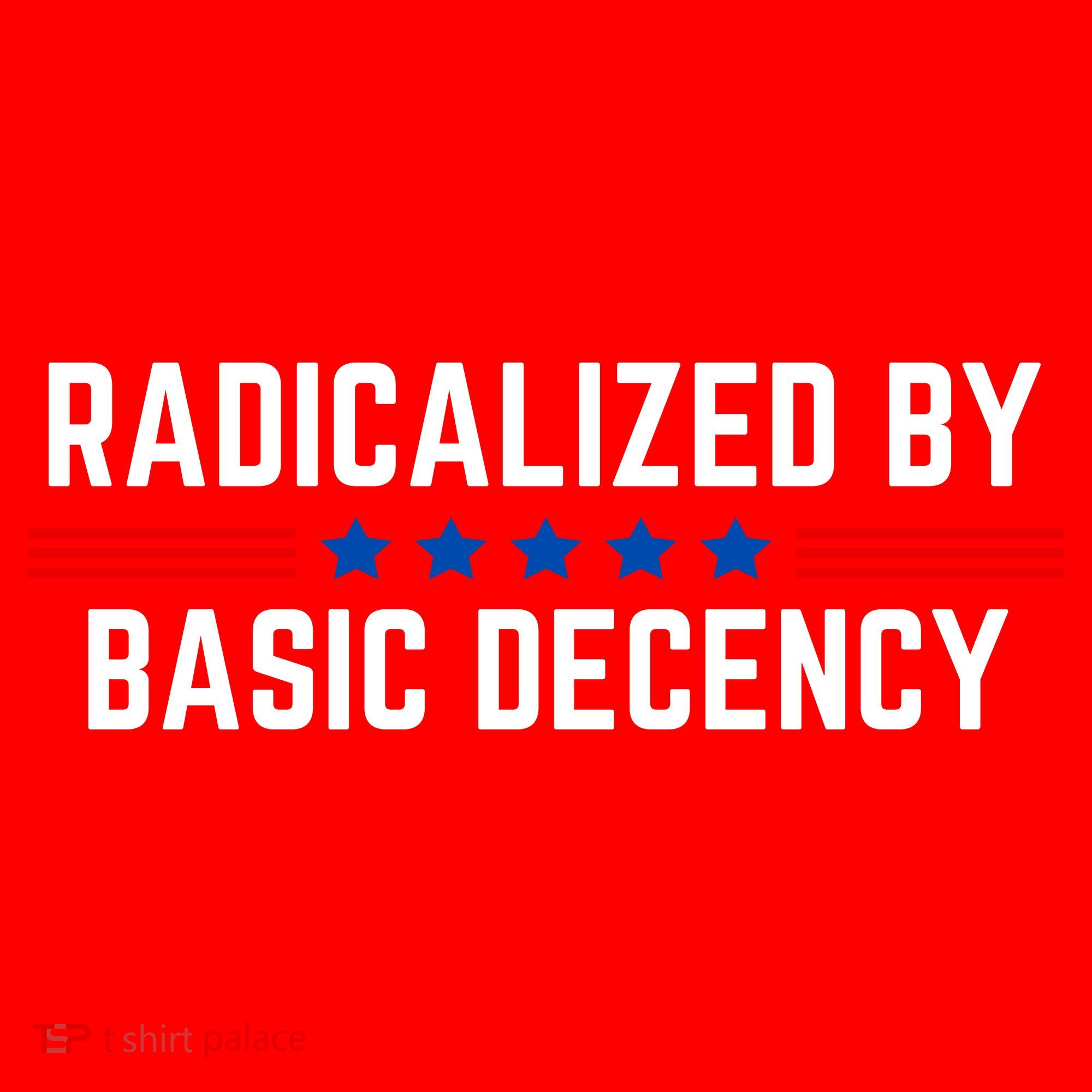 Radicalized By Basic Decency Funny Quote Santa Hat