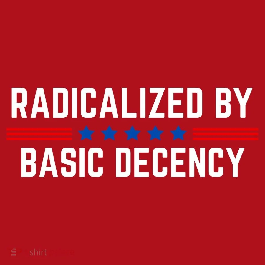 Radicalized By Basic Decency Funny Quote Christmas Stocking