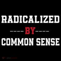 Radicalized By Common Sense Truth Logic And Free Thinkin Toddler Hoodie thumb 2