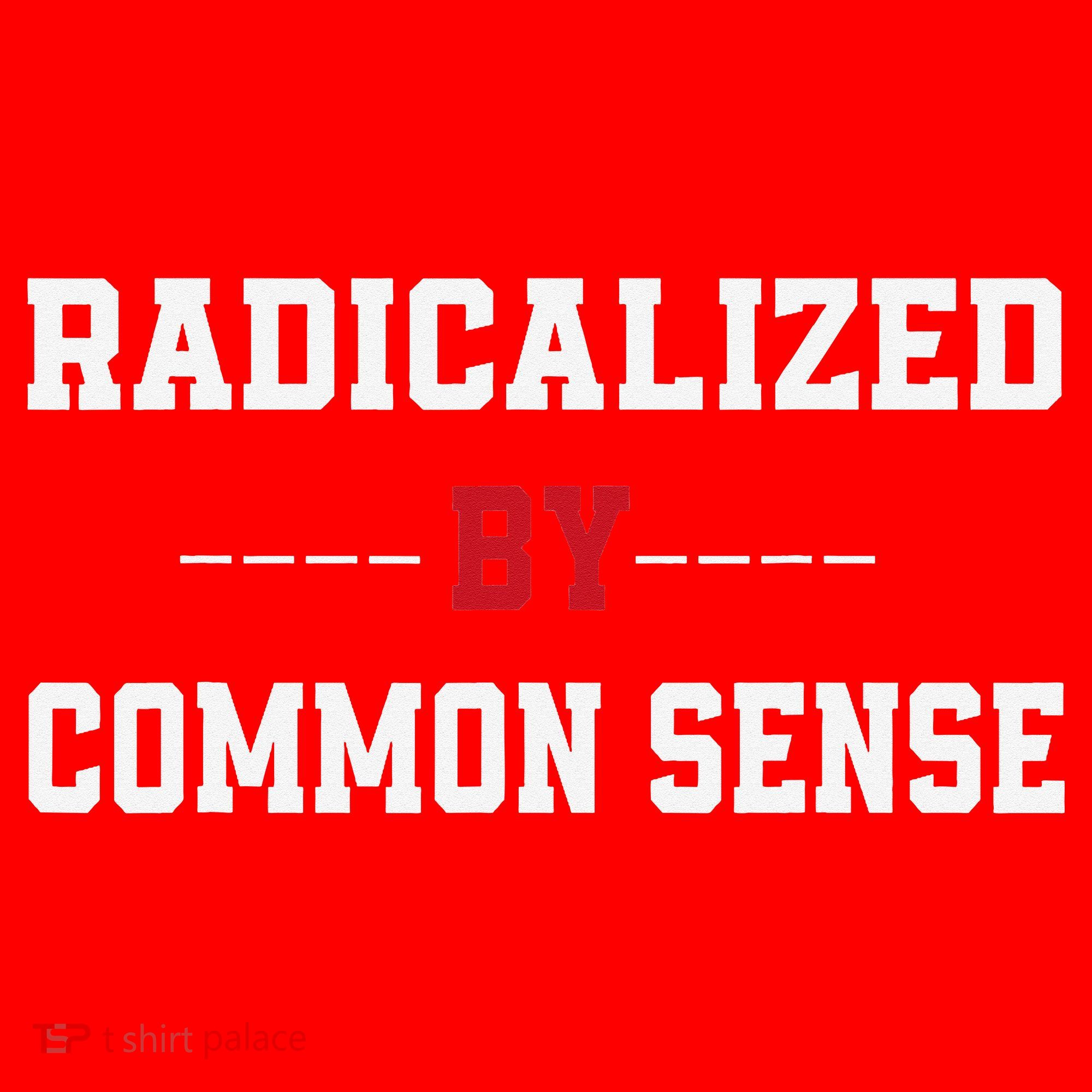 Radicalized By Common Sense Truth Logic And Free Thinkin Santa Hat