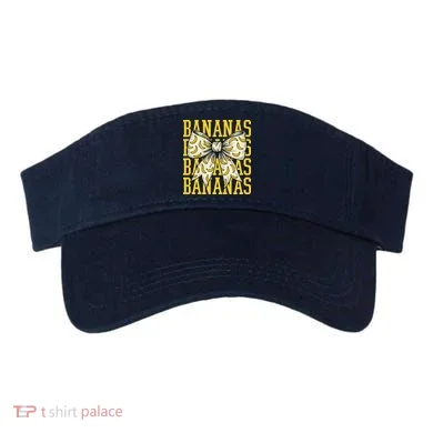 Visor