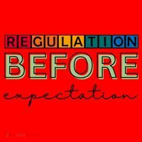 Regulation Before Expectation Autism Awareness Quote Santa Hat thumb 1