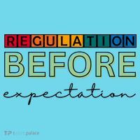 Regulation Before Expectation Autism Awareness Quote Button thumb 1