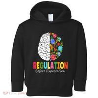 Regulation Before Expectation Toddler Hoodie thumb 0