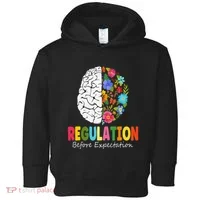 Regulation Before Expectation Toddler Hoodie thumb 0