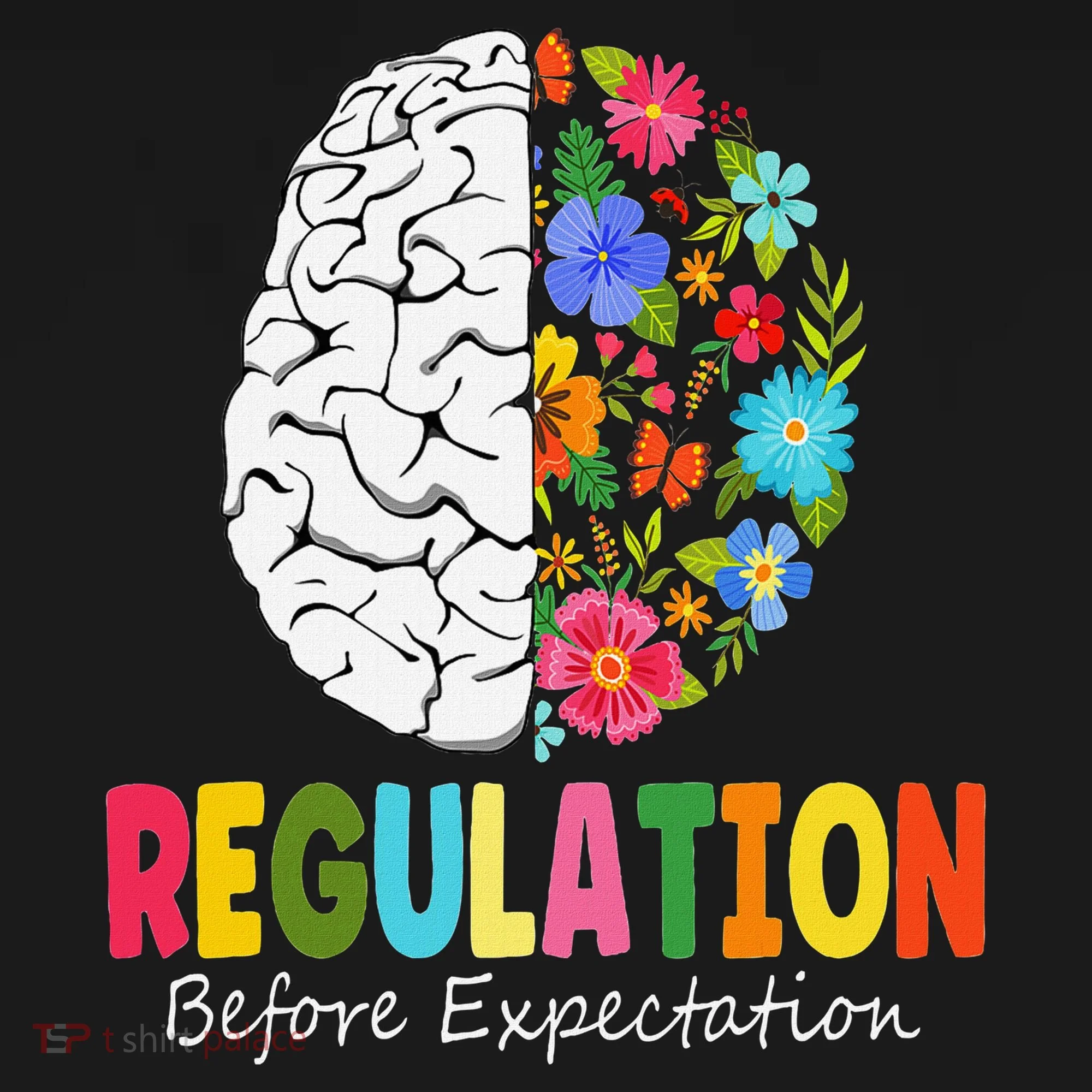 Regulation Before Expectation Toddler Hoodie