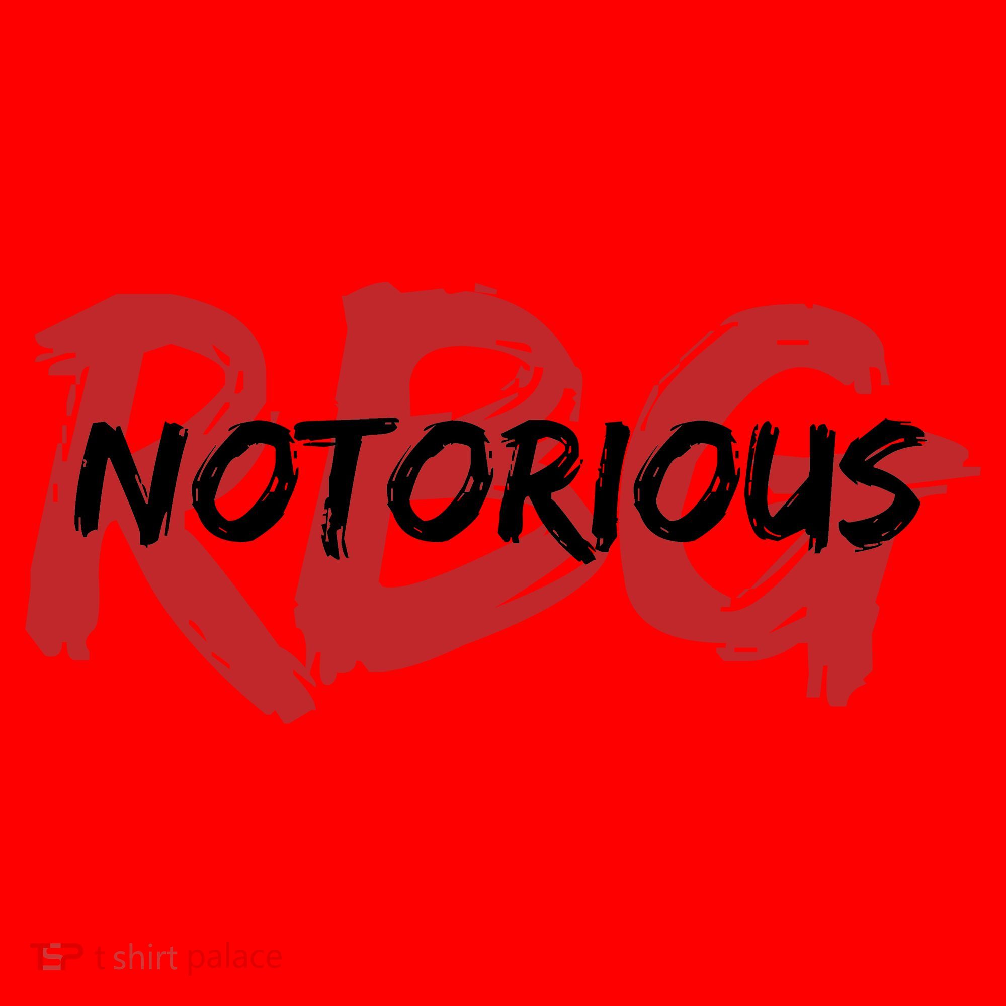 RBG Notorious Logo Ruther Bader Ginsburg  Santa Hat