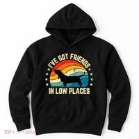 Retro Basset Hound IVe Got Friends In Low Places Hoodie thumb 0