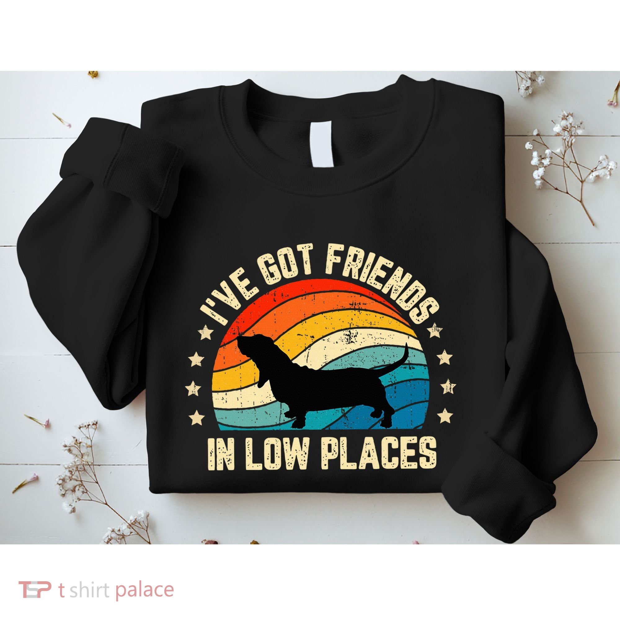 Retro Basset Hound IVe Got Friends In Low Places Sweatshirt