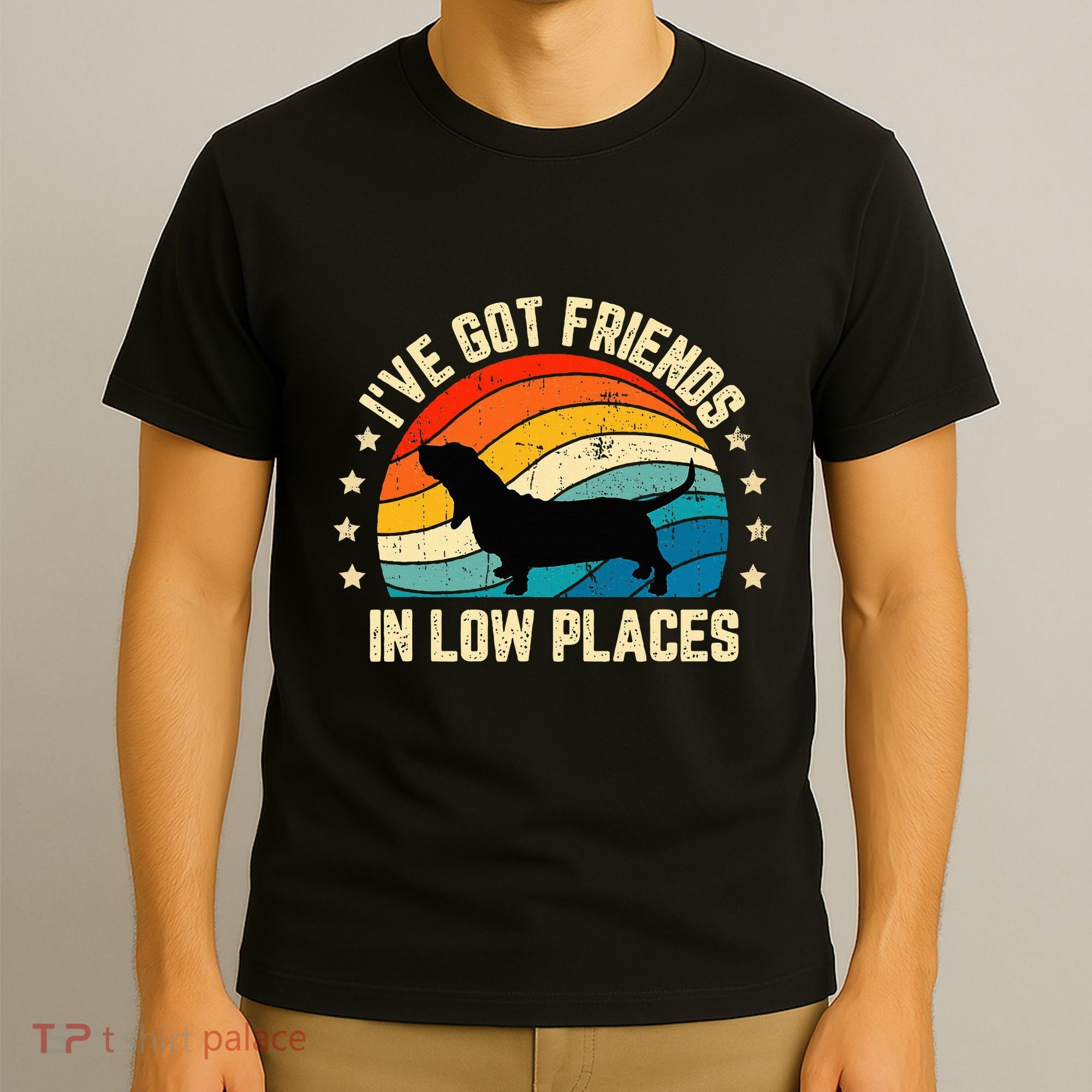 Retro Basset Hound IVe Got Friends In Low Places T-Shirt