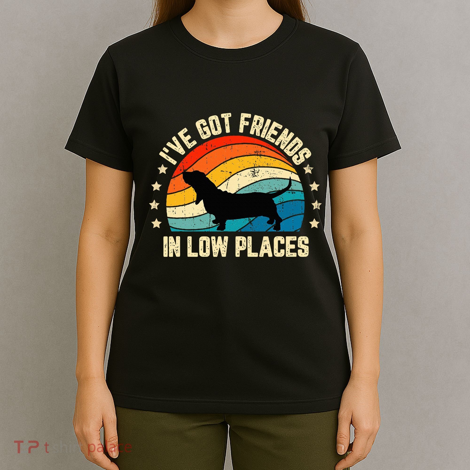 Retro Basset Hound IVe Got Friends In Low Places T-Shirt