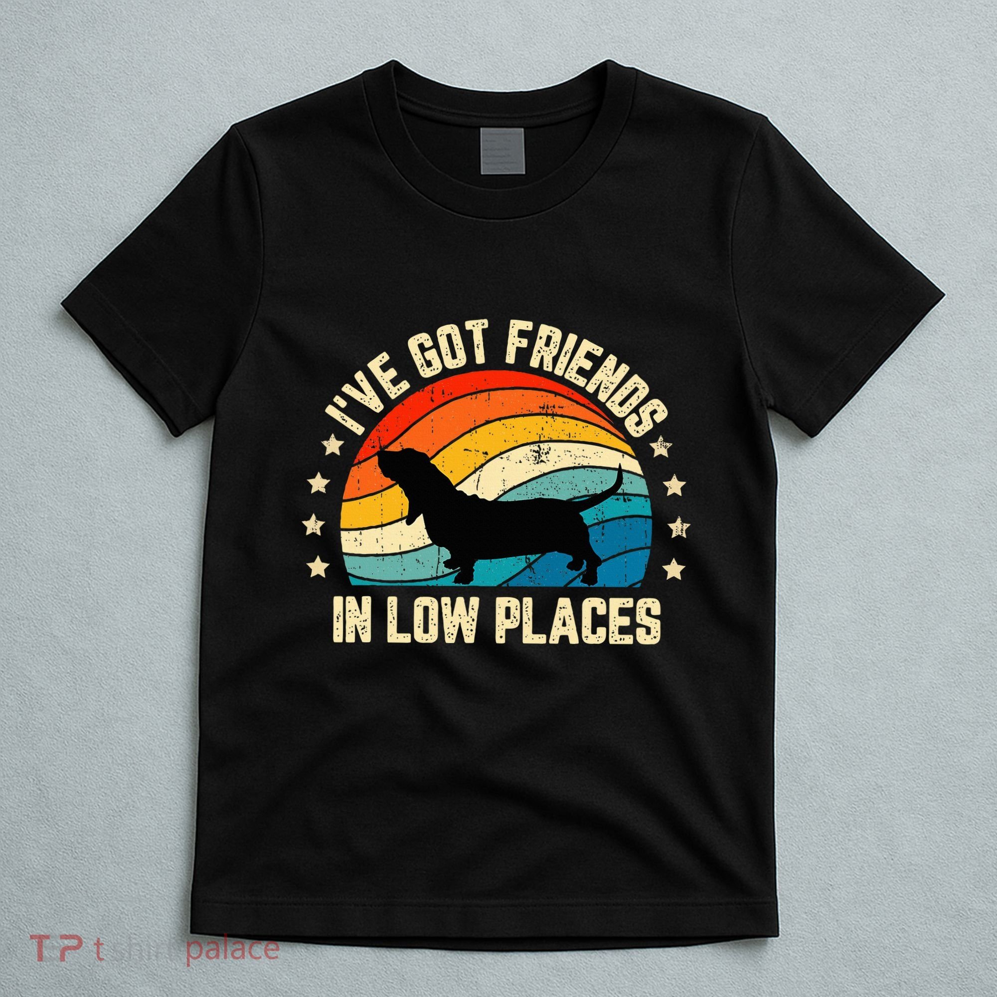 Retro Basset Hound IVe Got Friends In Low Places T-Shirt
