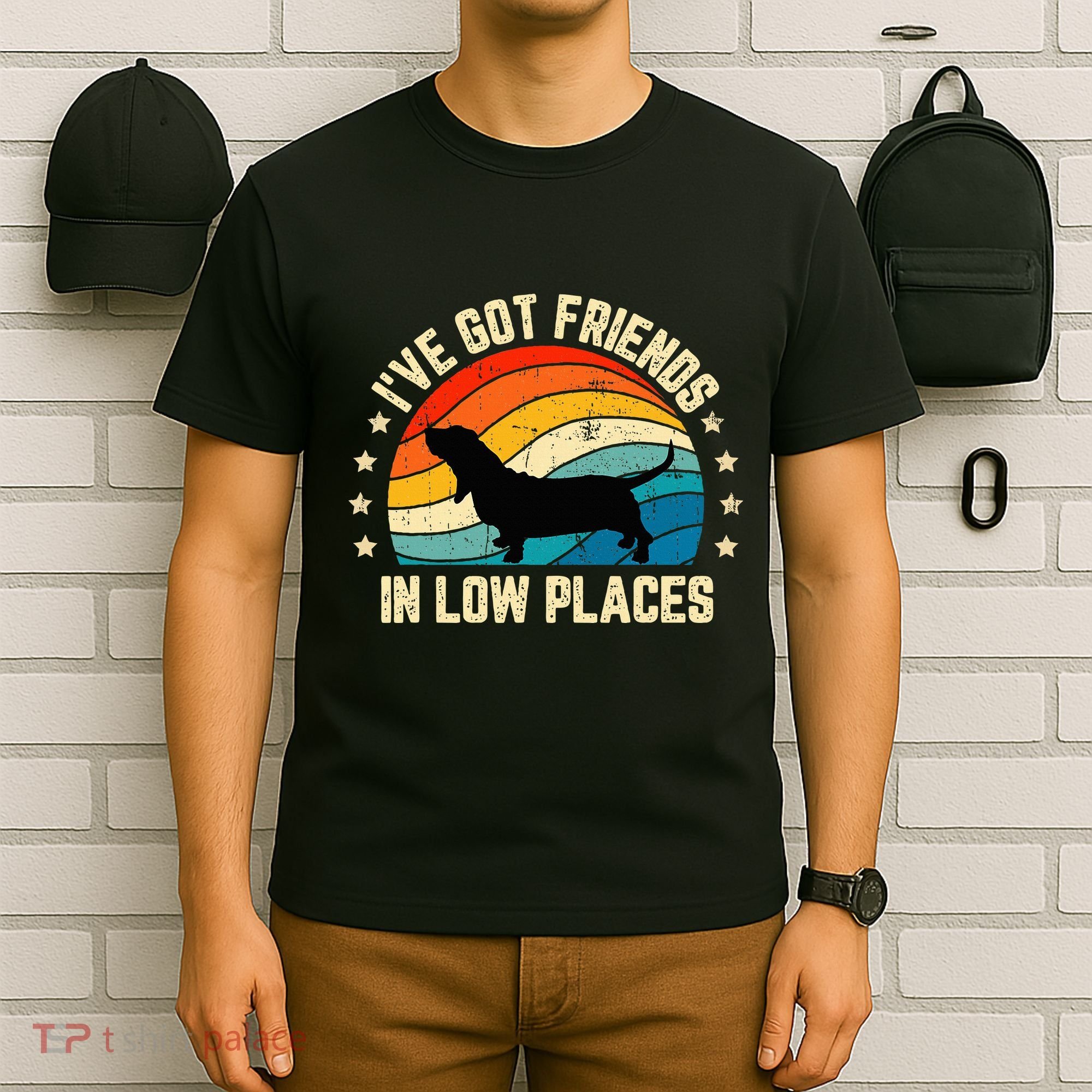 Retro Basset Hound IVe Got Friends In Low Places T-Shirt